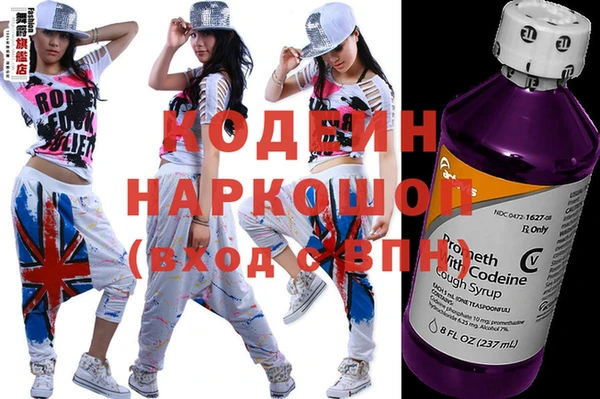 PSILOCYBIN Каменка