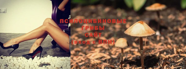 PSILOCYBIN Каменка