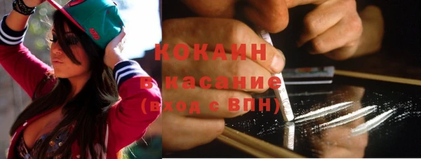 PSILOCYBIN Каменка