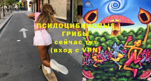Альфа ПВП Каменногорск