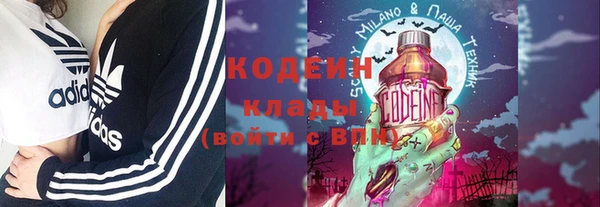 PSILOCYBIN Каменка