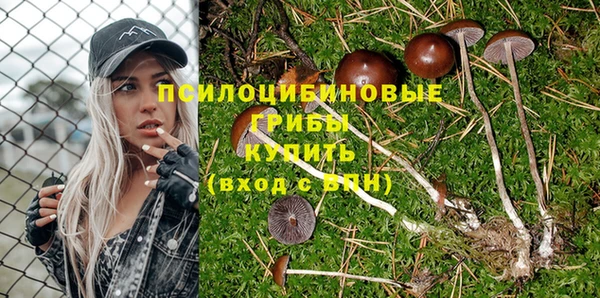 меф Каменск-Шахтинский