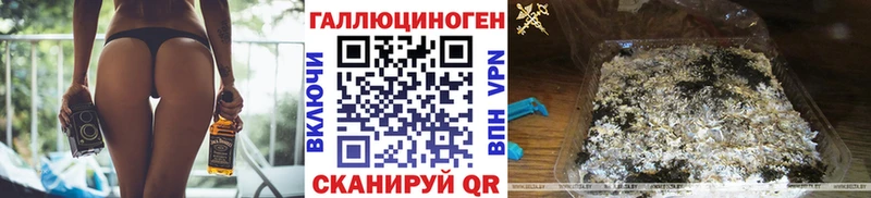 Купить где  Малгобек  Галлюциногенные грибы Psilocybine cubensis 